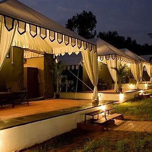 Luxury  Tent